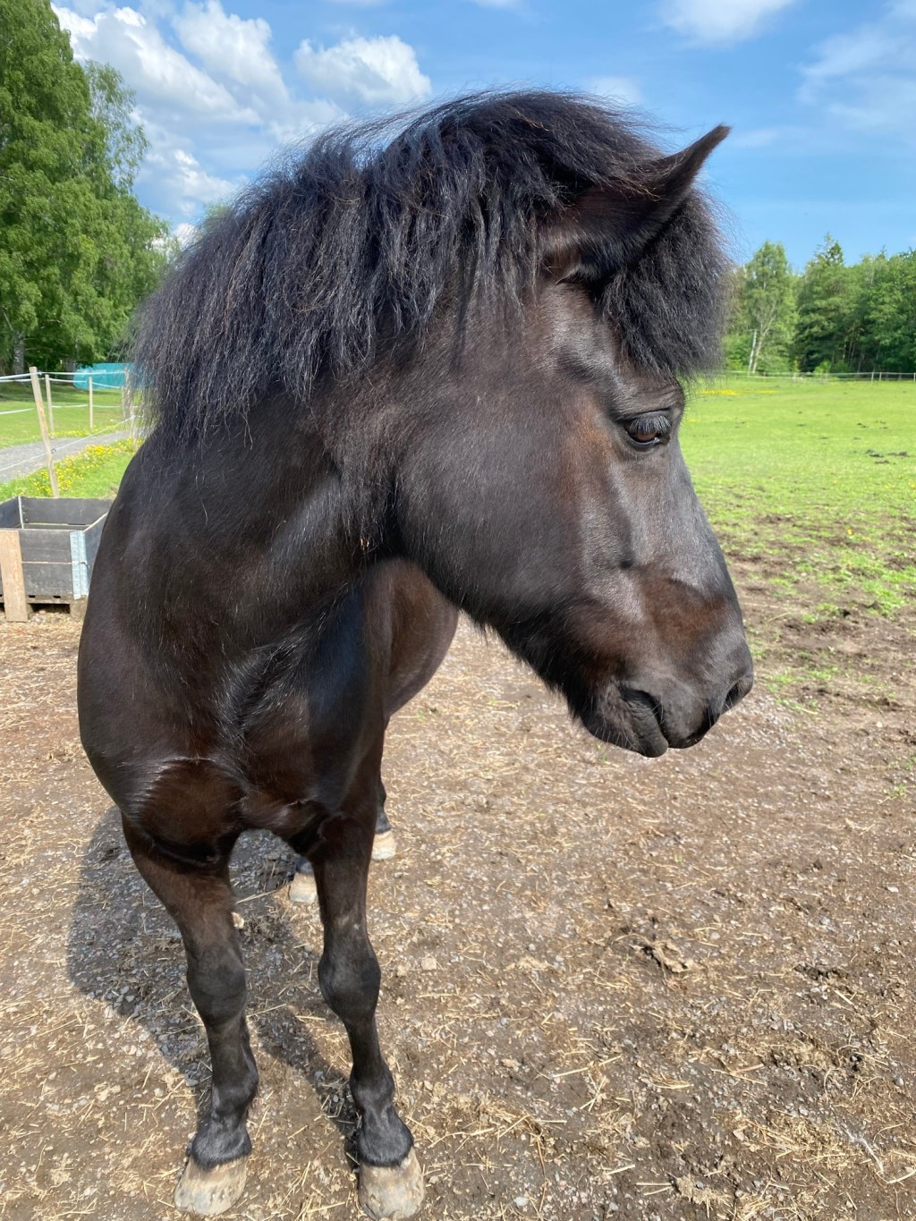 Ett år av saknad, ett år av&nbsp;hopp…