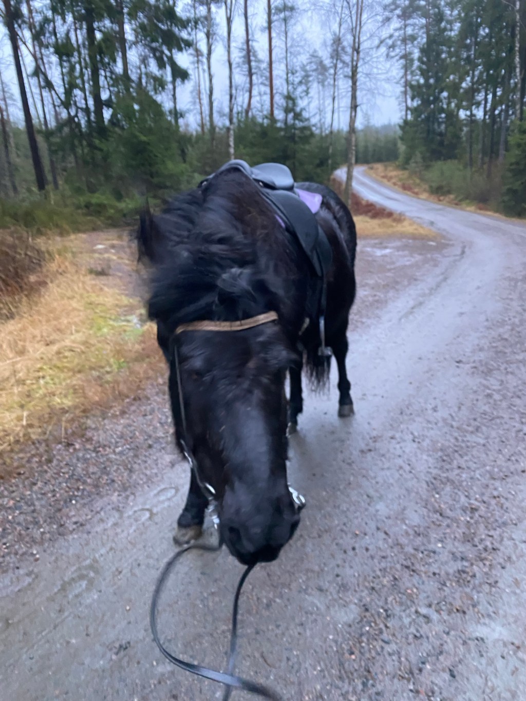 Sockerdricka i hela&nbsp;kroppen…