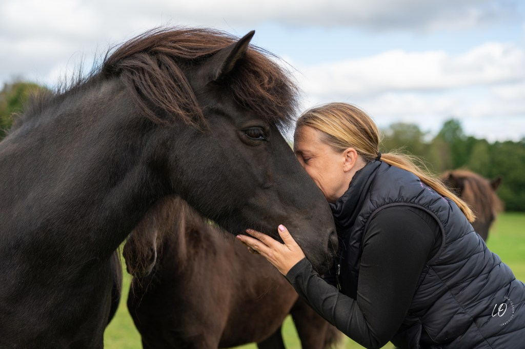 Hästmassage Hästmassör Friskvård för häst